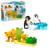 LEGO® DUPLO® 10442 Rodinky divokých zvířat: Tučňáci a lvi