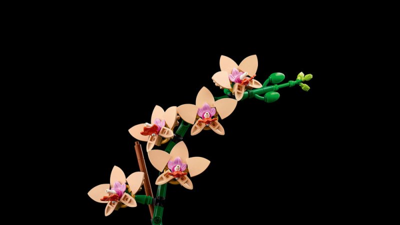 LEGO® Botanicals 10343 Miniaturní orchidej