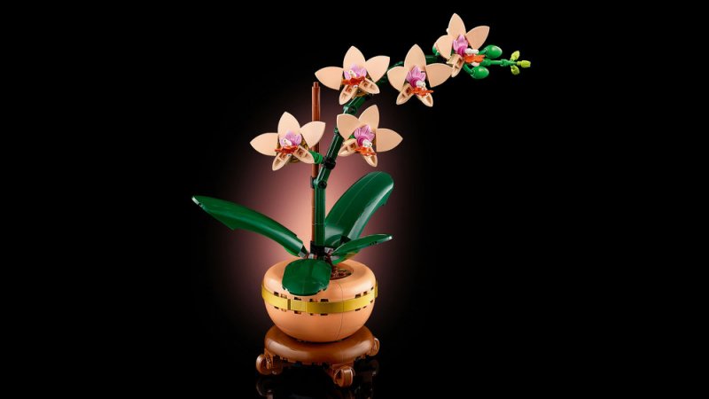 LEGO® Botanicals 10343 Miniaturní orchidej