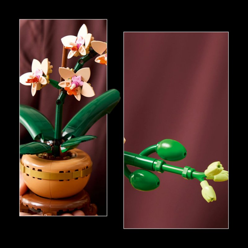 LEGO® Botanicals 10343 Miniaturní orchidej