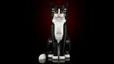 LEGO® Ideas 21349 Černobílá kočka