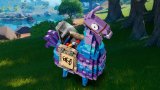 LEGO® Fortnite® 77071 Supply Llama