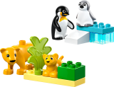 LEGO® DUPLO® 10442 Rodinky divokých zvířat: Tučňáci a lvi