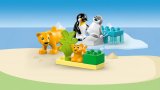 LEGO® DUPLO® 10442 Rodinky divokých zvířat: Tučňáci a lvi