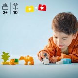 LEGO® DUPLO® 10442 Rodinky divokých zvířat: Tučňáci a lvi