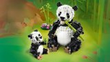 LEGO® Creator 3v1 31165 Divoká zvířata: Pandí rodinka