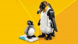 LEGO® Creator 3v1 31165 Divoká zvířata: Pandí rodinka