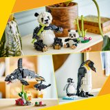 LEGO® Creator 3v1 31165 Divoká zvířata: Pandí rodinka