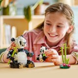 LEGO® Creator 3v1 31165 Divoká zvířata: Pandí rodinka